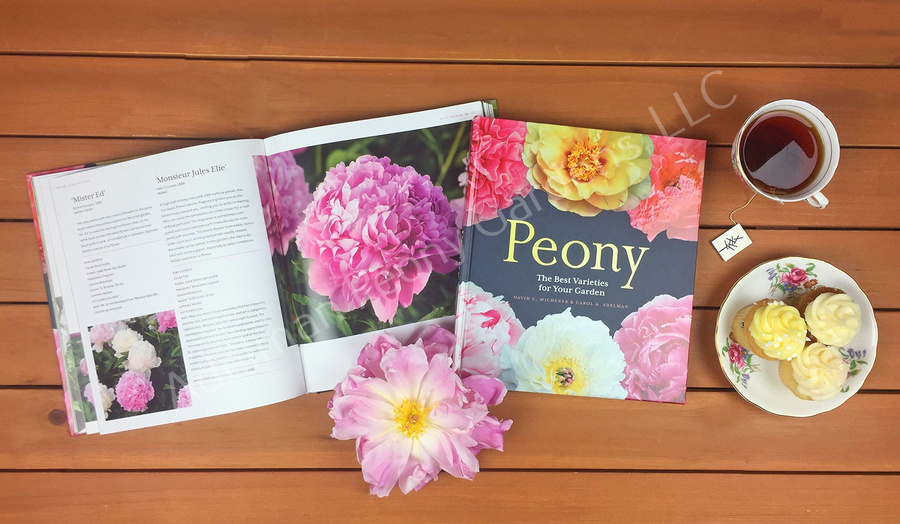Peony The Best Varieties for Your Garden - Image 2
