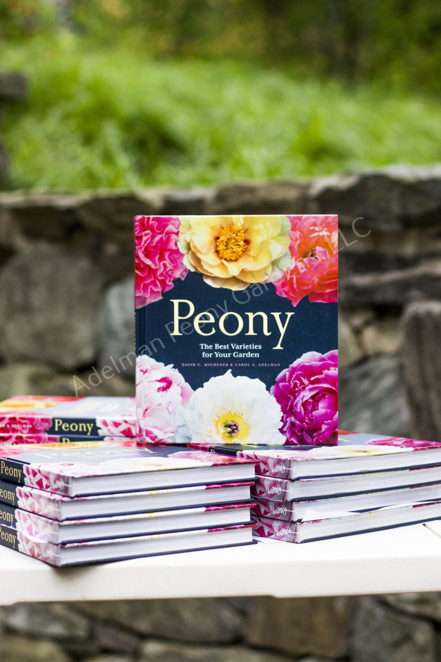 Peony The Best Varieties for Your Garden - Image 4