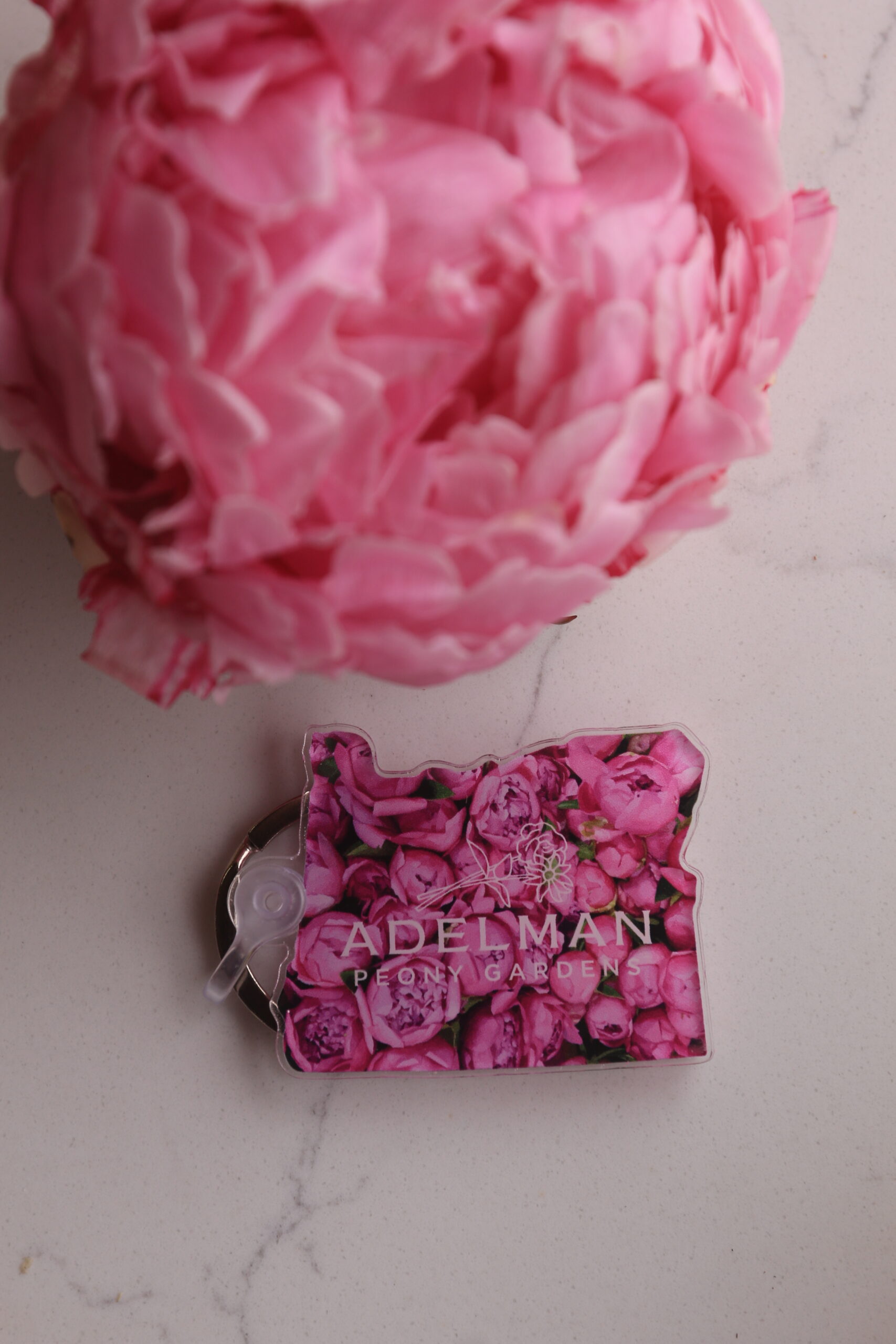 Keychain - Image 4