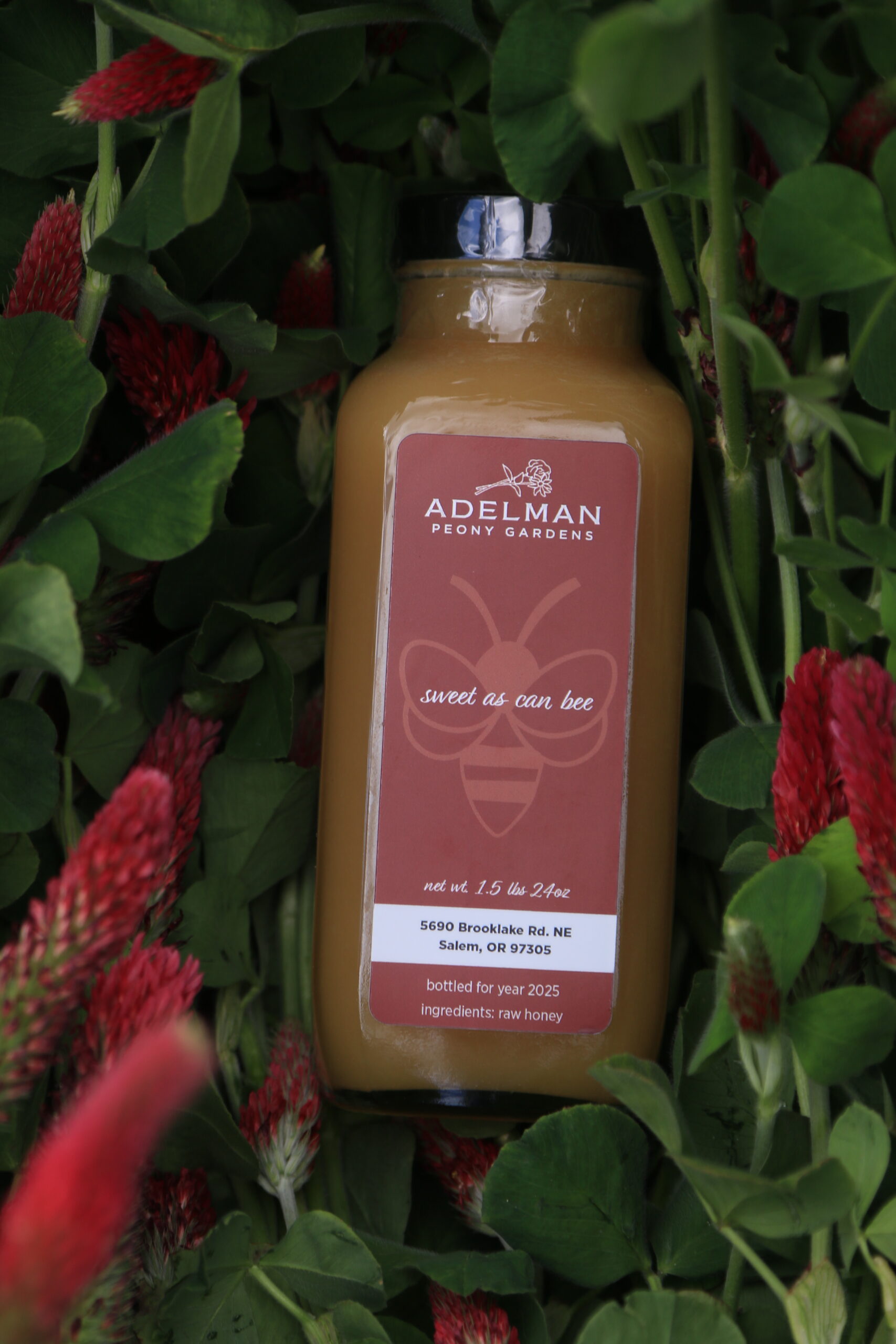 Adelman Raw Honey - Image 2