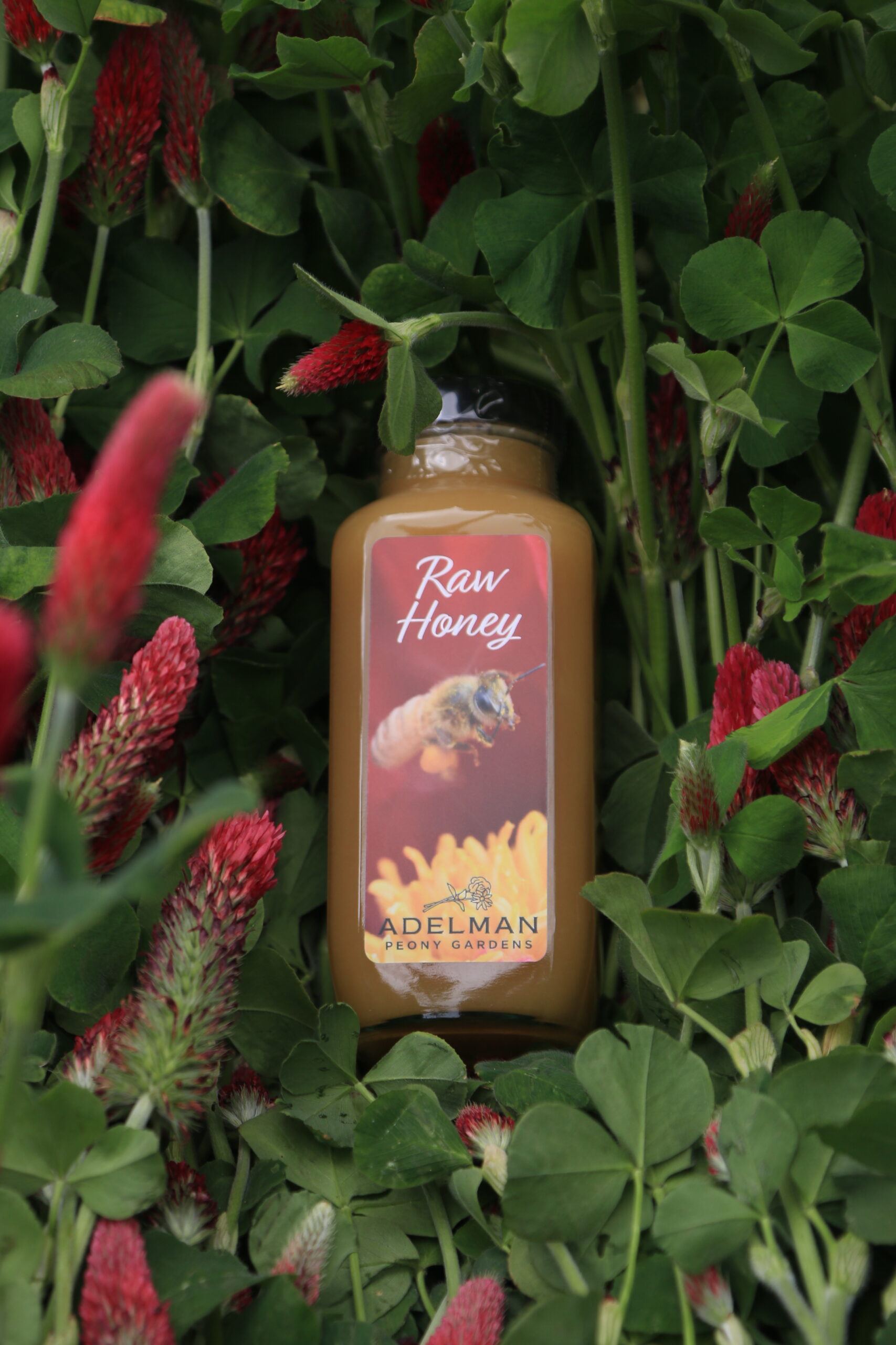 Adelman Raw Honey